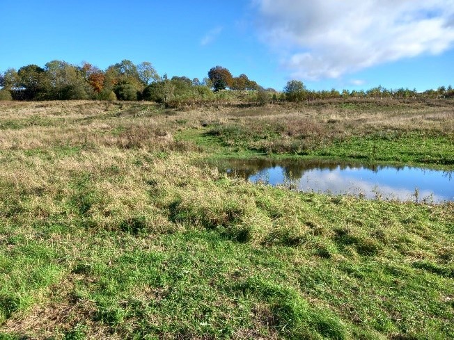 Roch Valley Nature Site at Heywood, Rochdale