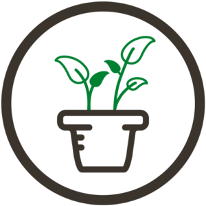 Plant icon