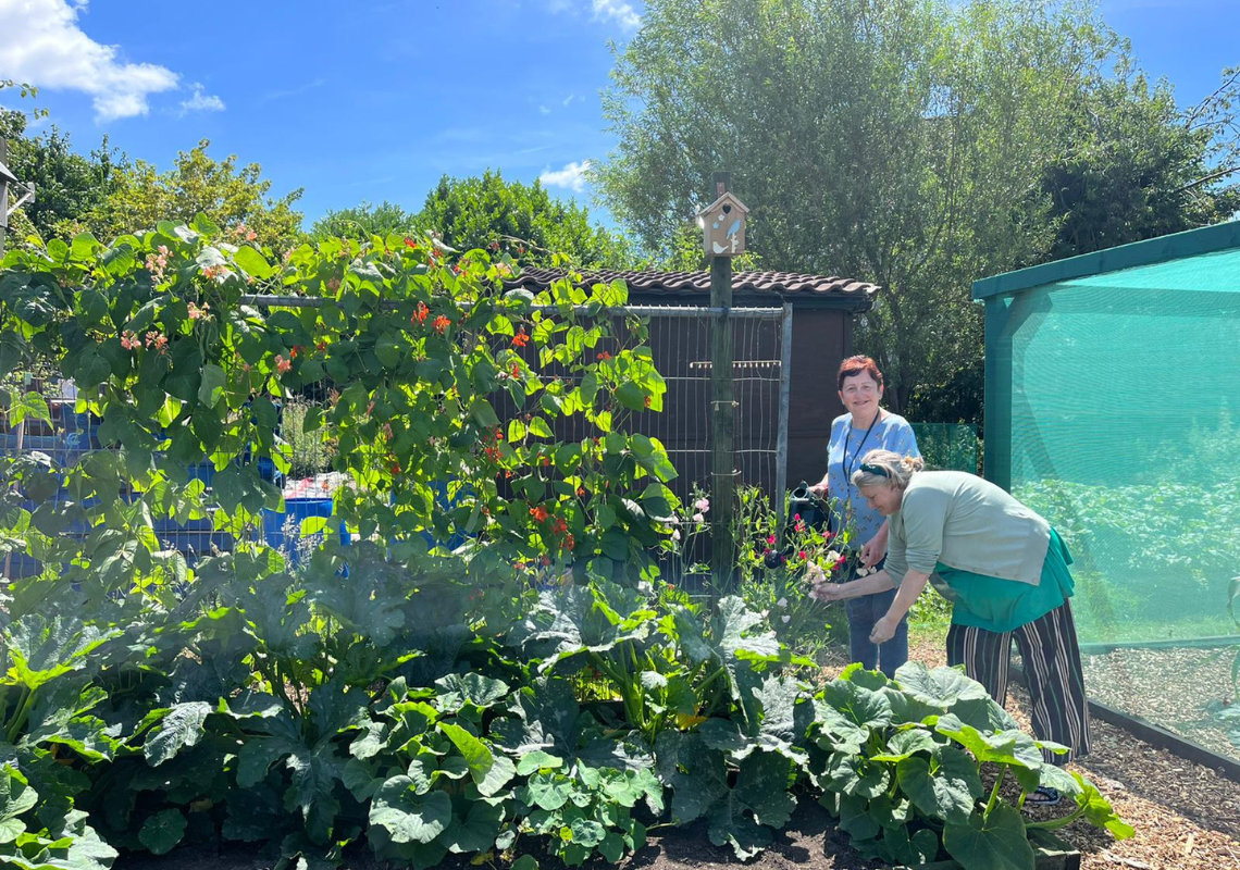 Lower Kersal Community Allotment