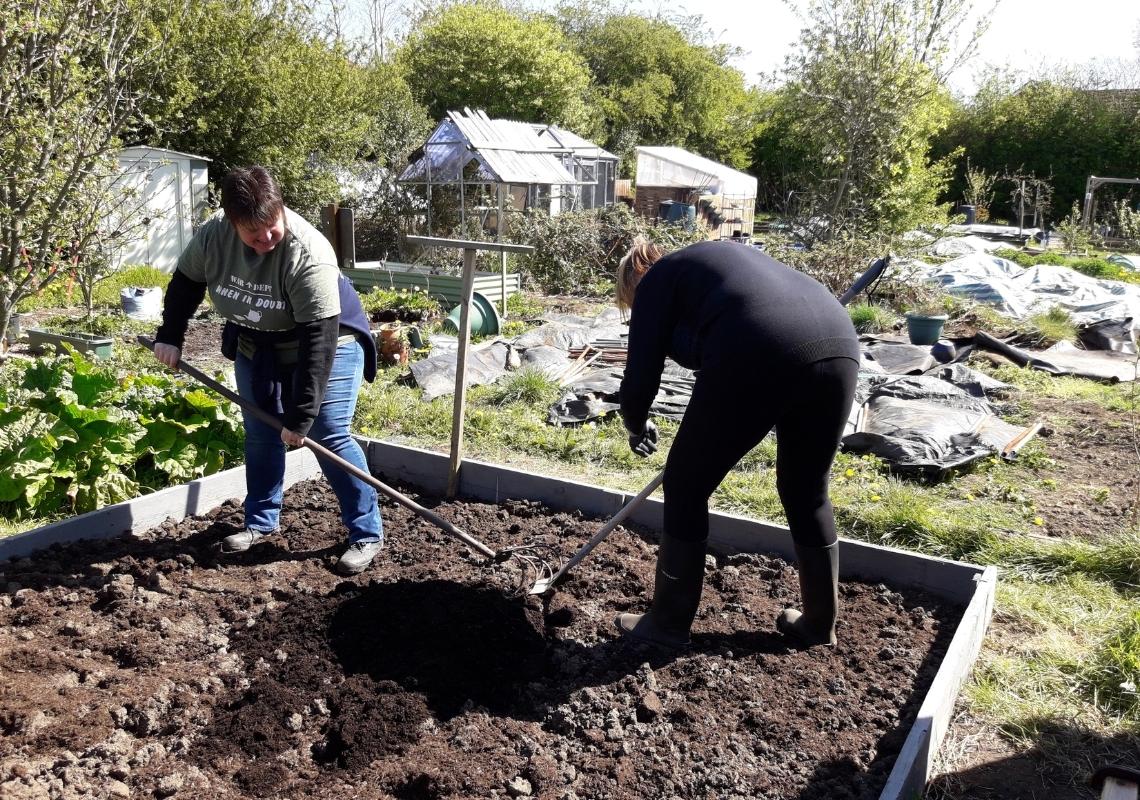 Grow, Cook, Eat for Veterans