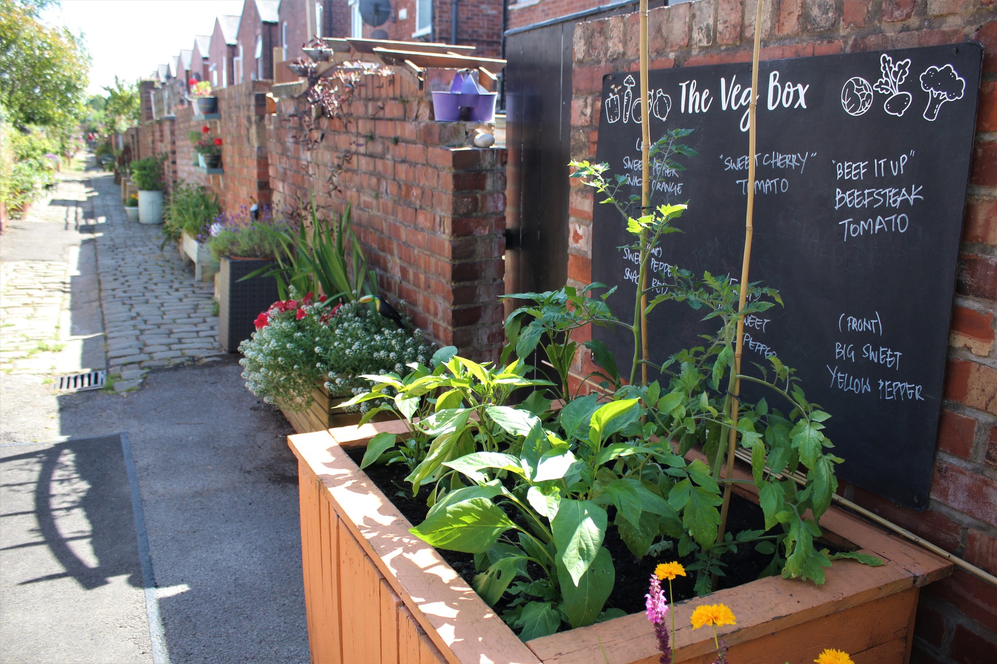 How to Green your Alleyway