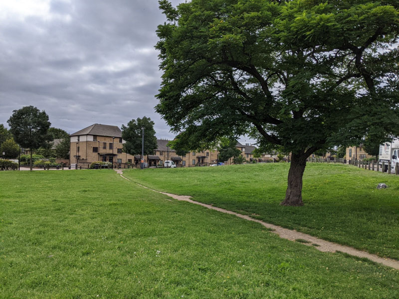 A green playing field with a tree in foreground and houses in the background.