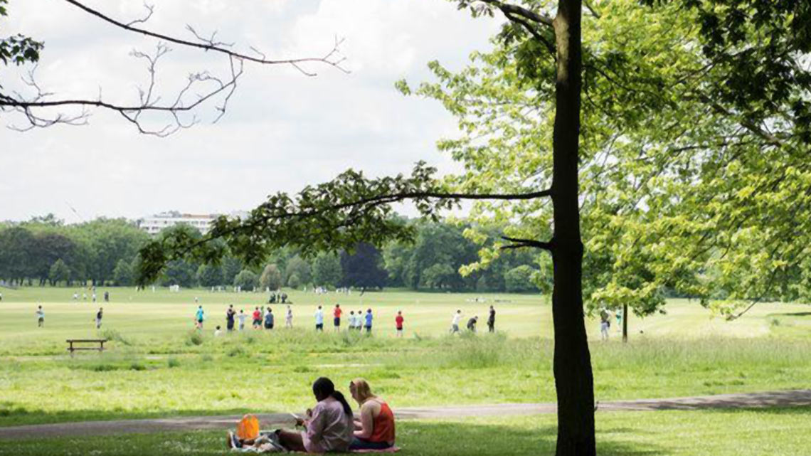 Green Space Skills Hub