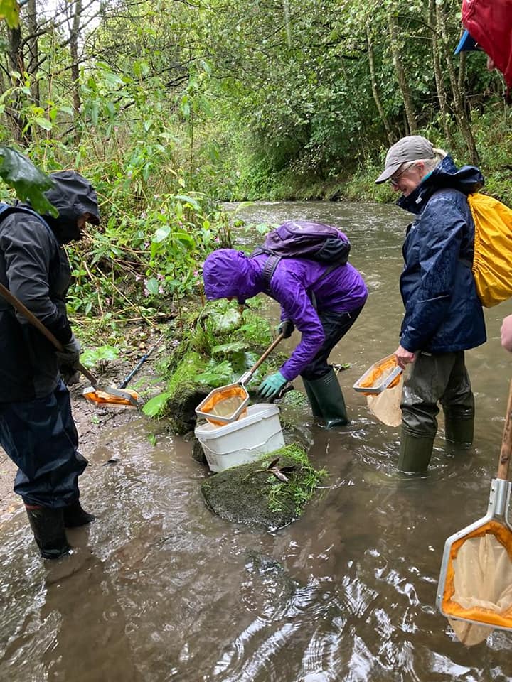 Local volunteers surveying river