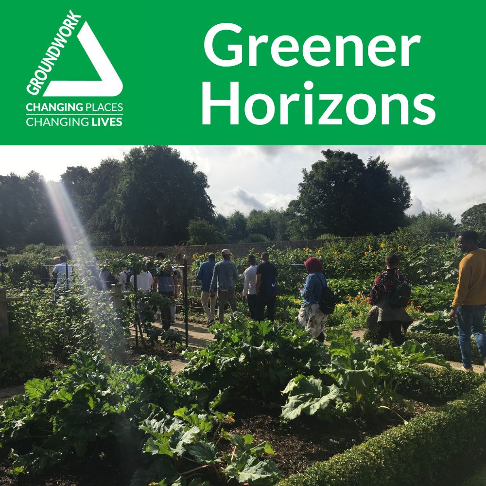 Greener Horizons