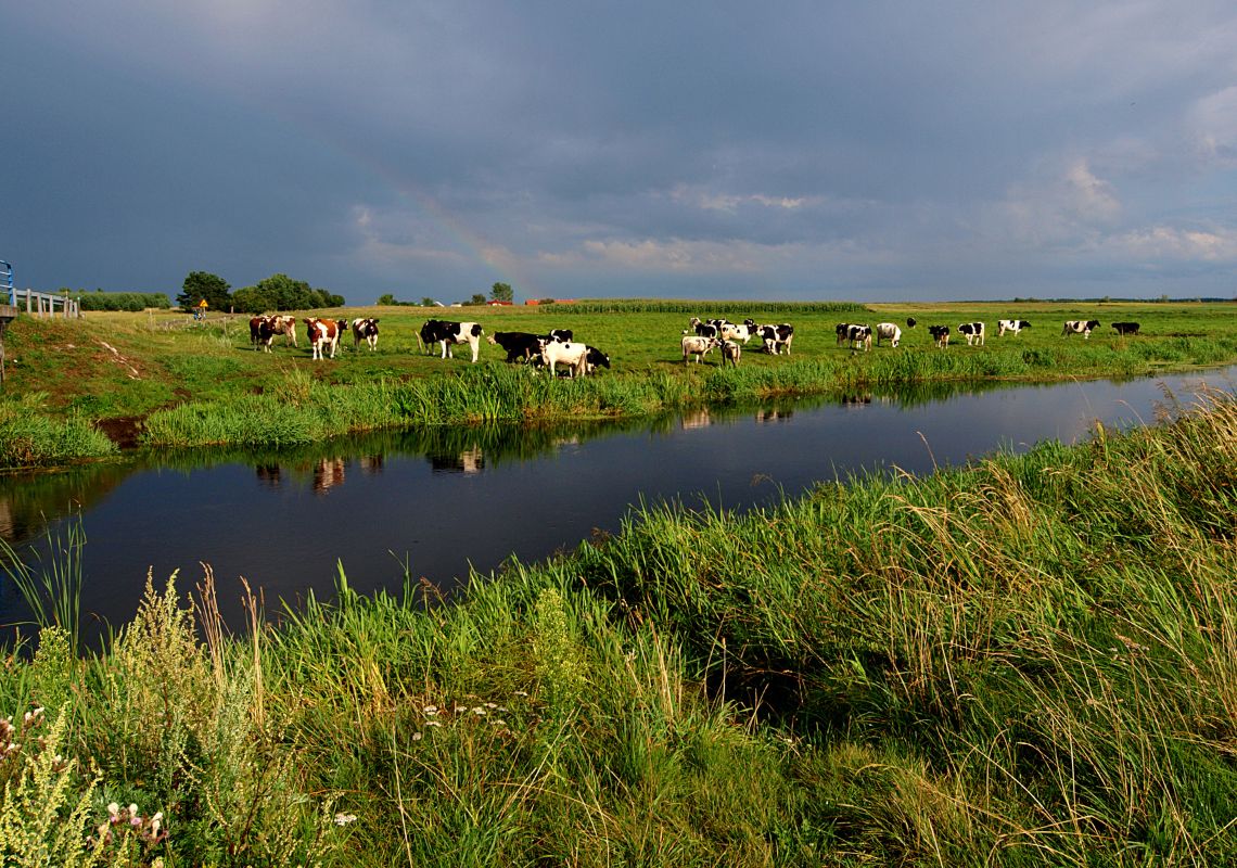 Helping Farmers To Install Measures That Protect Nature