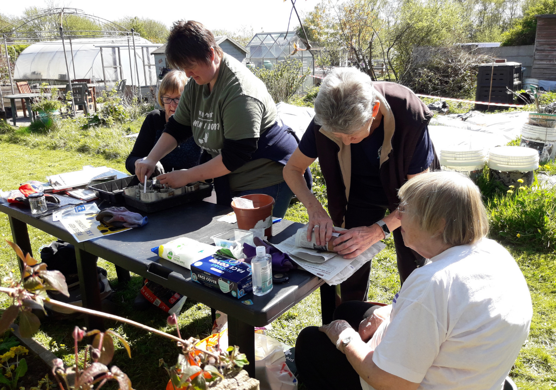 Trafford Veterans Community Allotment