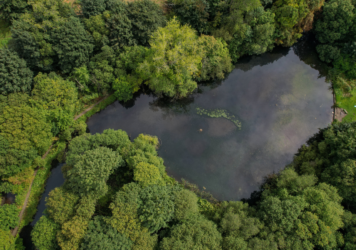 Boarshaw Clough, Middleton, Rochdale
