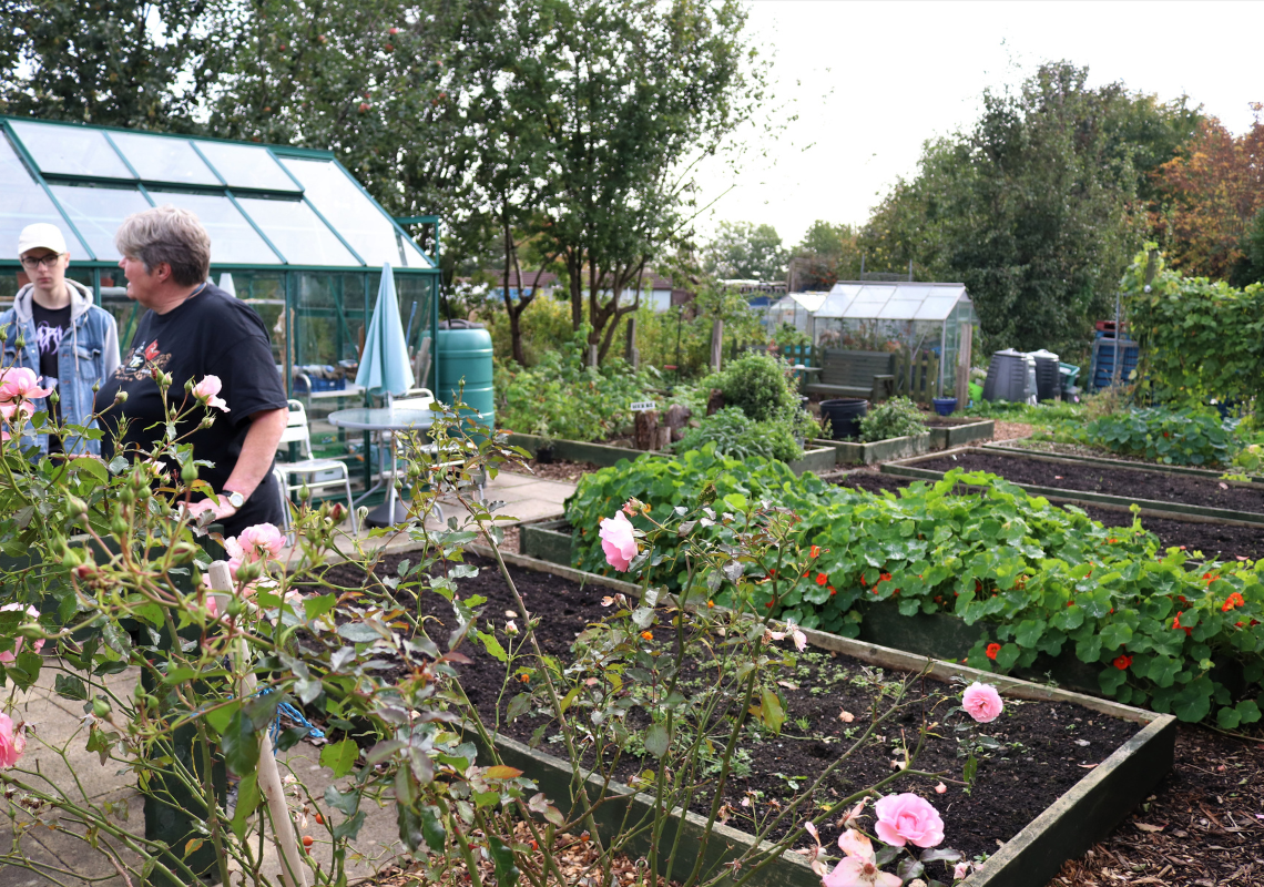 Lower Kersal Allotment in Salford