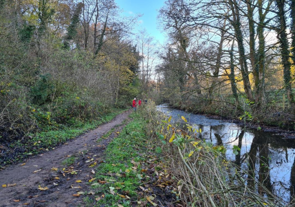 Happy Valley Nature Reserve in Stockport