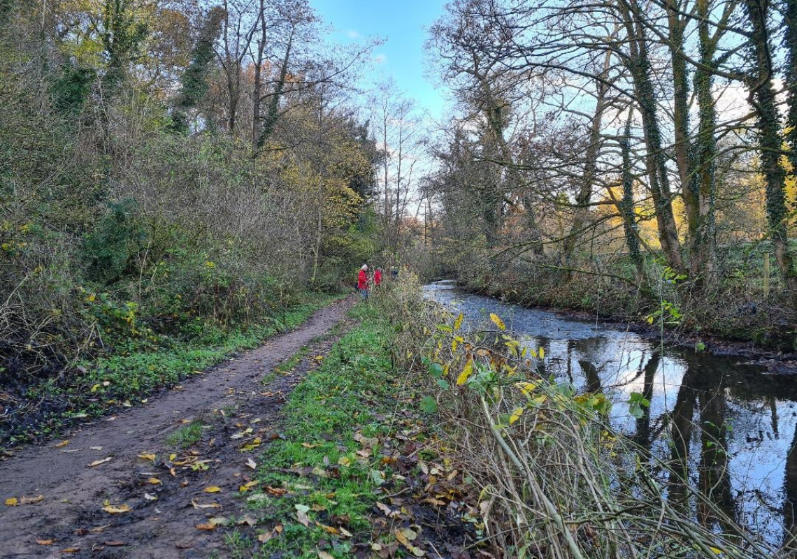 Happy Valley Nature Reserve in Stockport