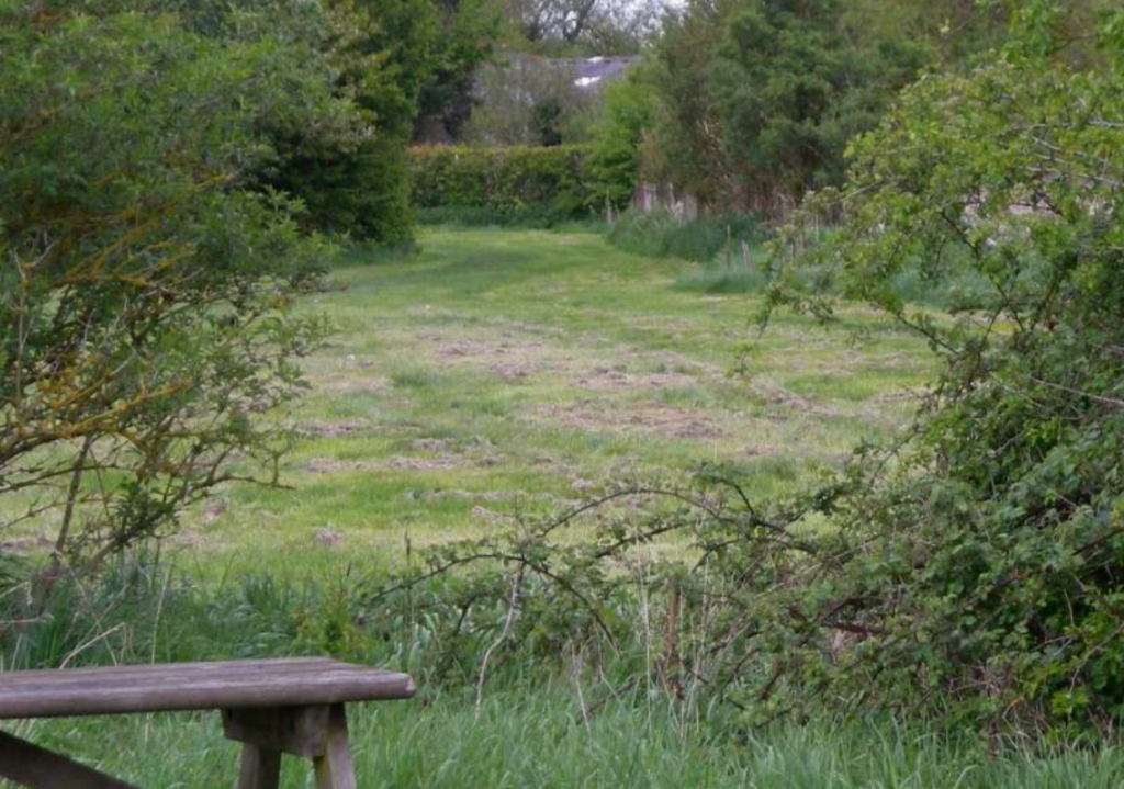 Millennium Green, Tameside