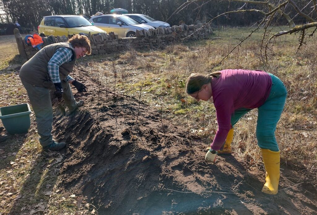 Two people planting at one of our nature reserves.