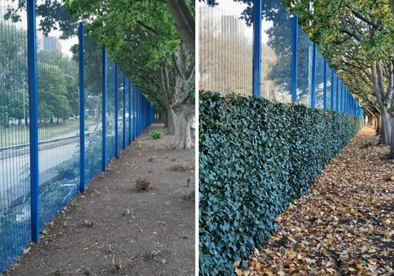 Designing Hedgerows To Protect Playgrounds in Manchester