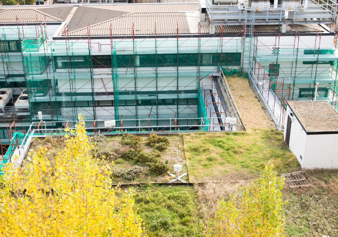 Created greener business premises