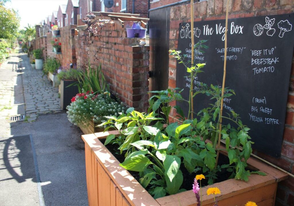 Alley greening