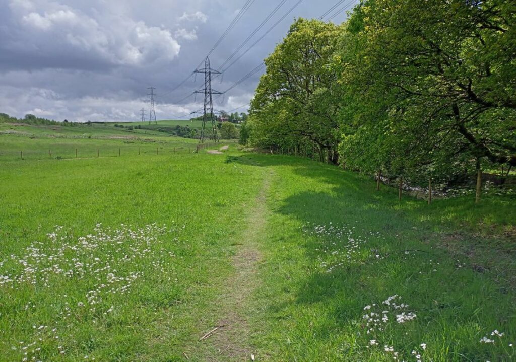 Roch Valley, Habitat Creation