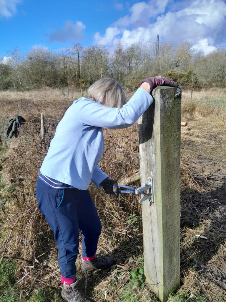 Groundwork North Wales - Volunteer