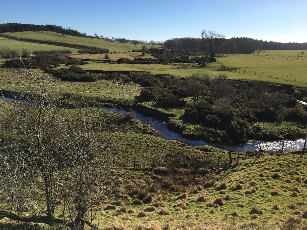 River Corridors