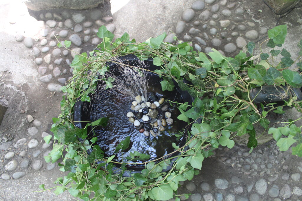 Lady Allen Garden Secret Garden After Sensory Garden Water Feature 2