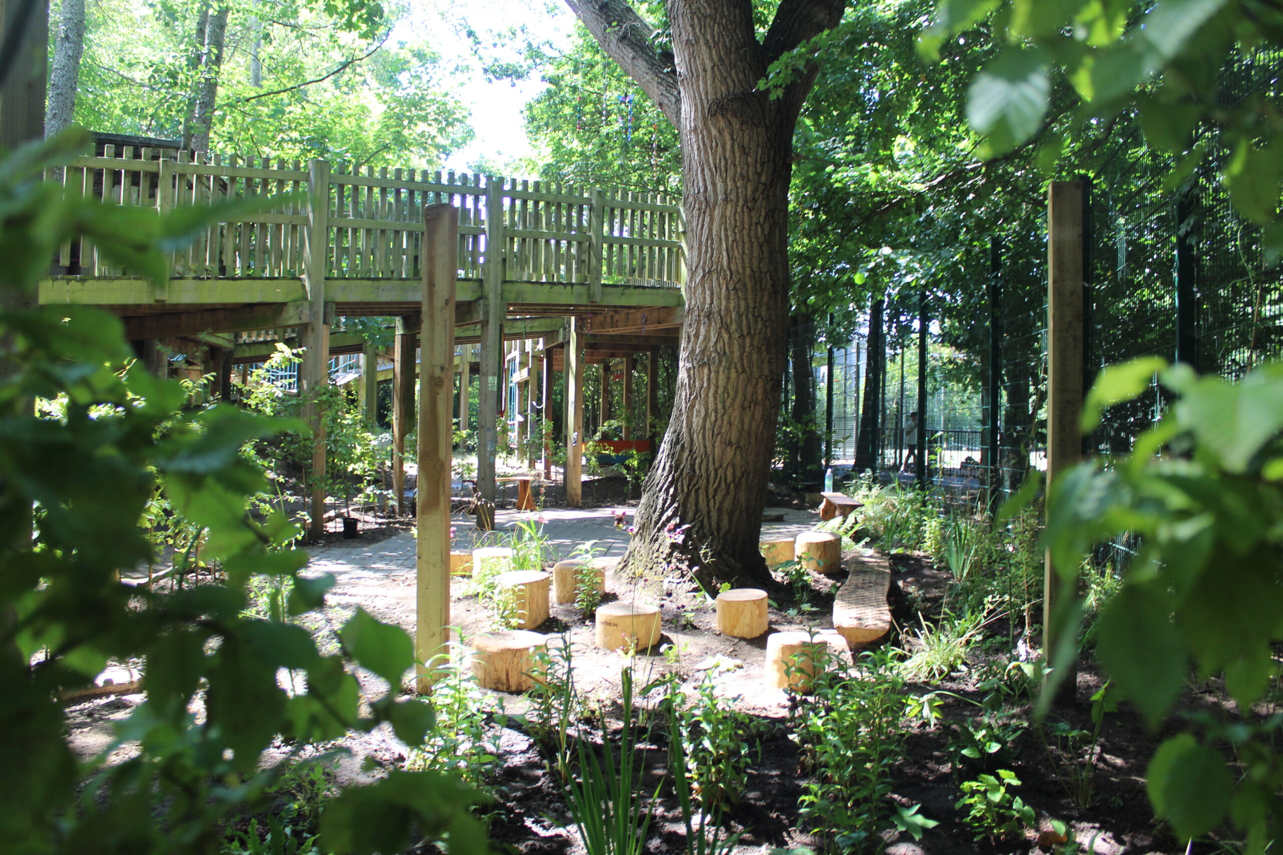 Our Space Award: Lady Allen Secret Nature Garden for Wellbeing and Reconnection