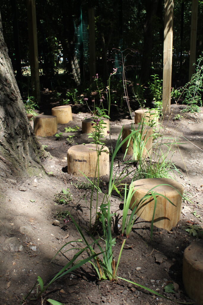 Green Space Tree Trunk Stepping Stones