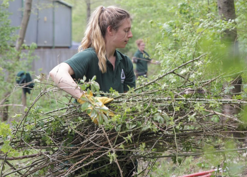 Young blonde woman in green Groundwork shirt wearing gloves holding large bundle of branches