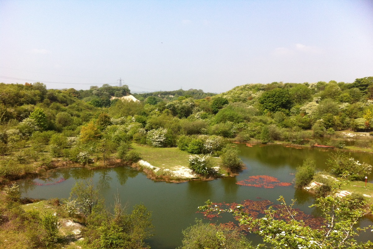 ariel view of lake