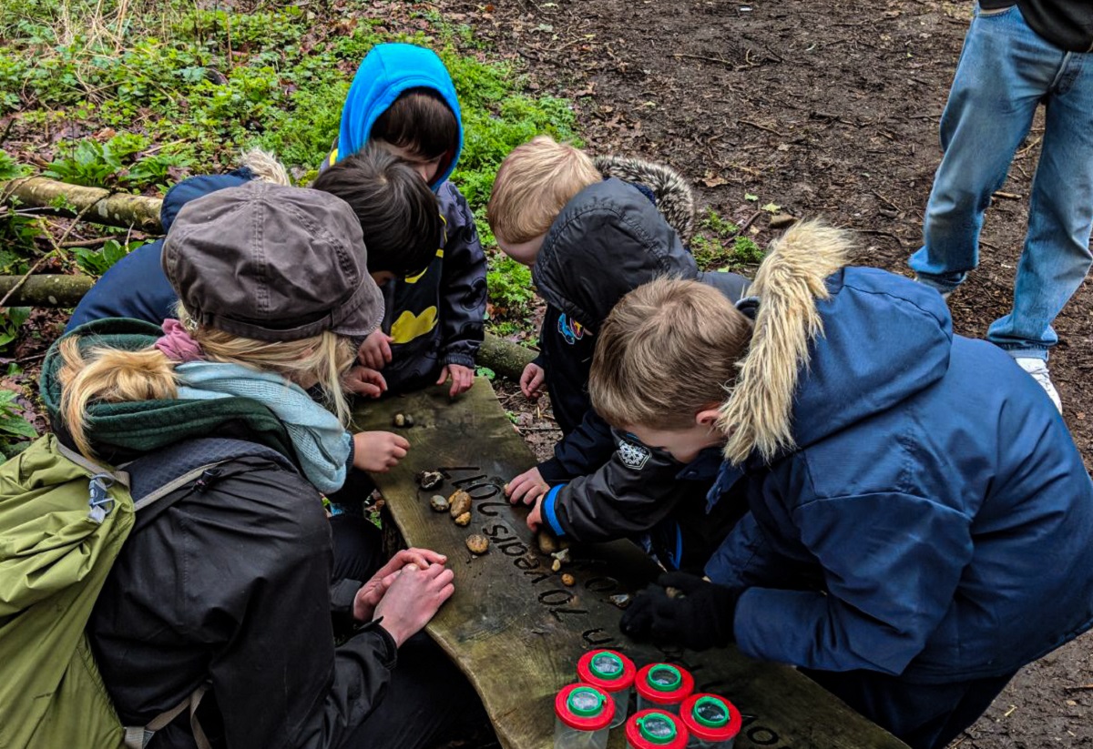 Children leaning about nature in the woods