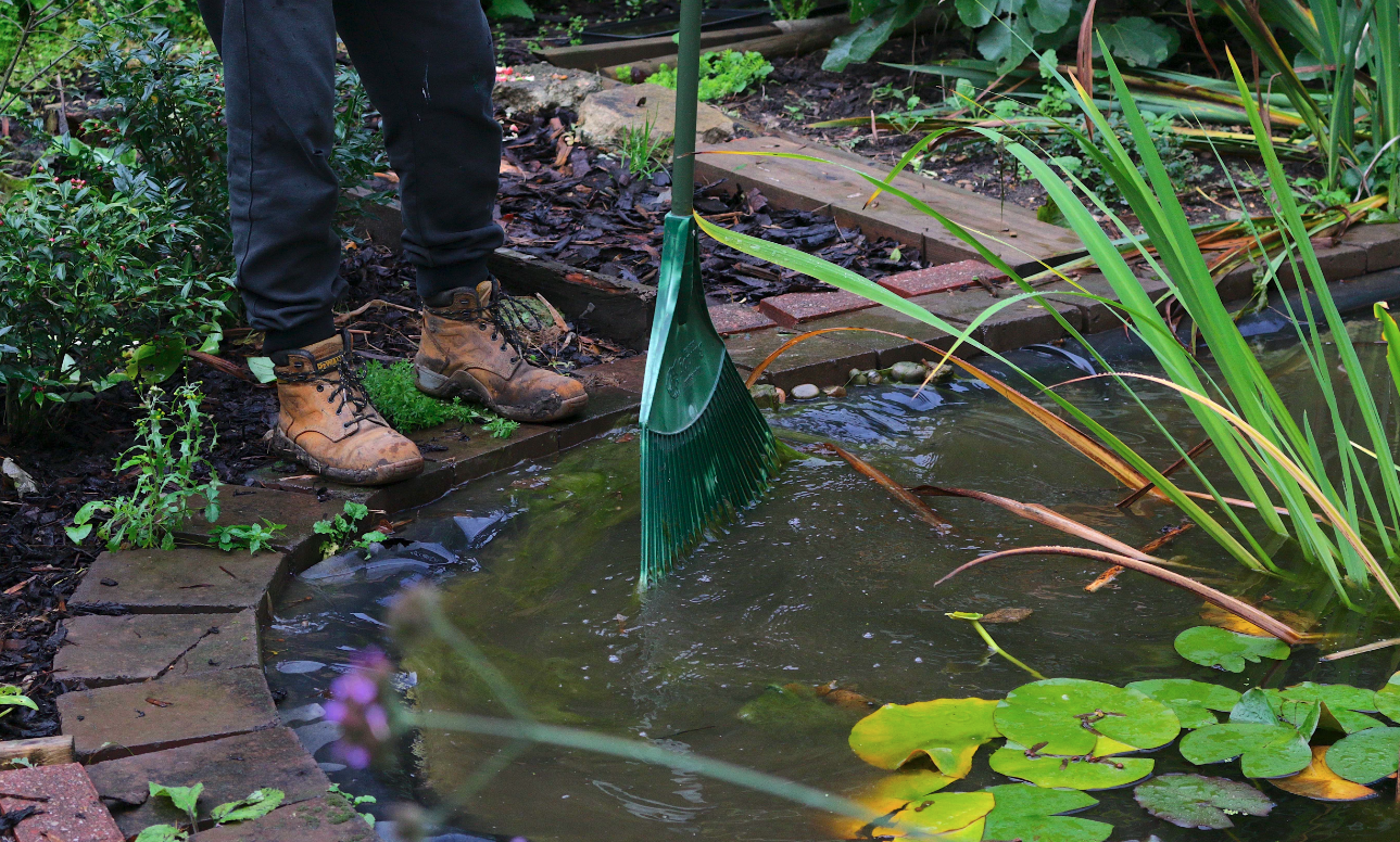 Groundwork London and Islington Council launch Islington Greener Together Champions