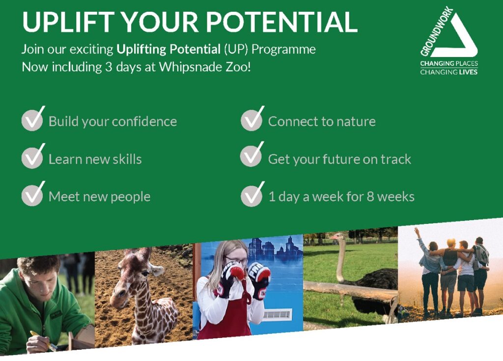 Activities that can be done at Whipsnade Zoo