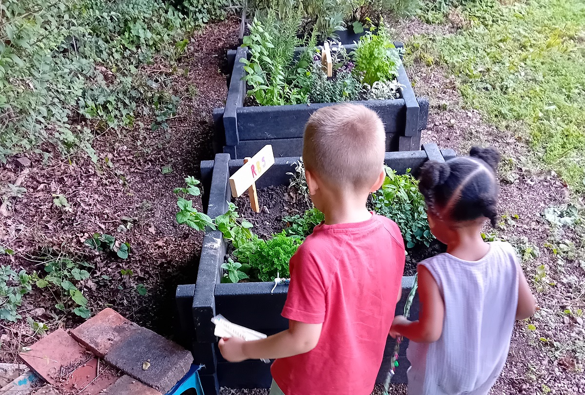 Children making a fairy house outside