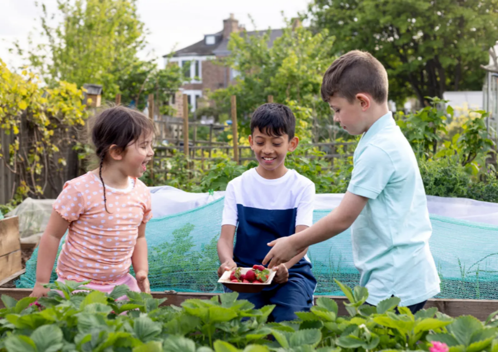NEWS: Young people across the UK encouraged to apply for new work placements to enrich the environmental sector