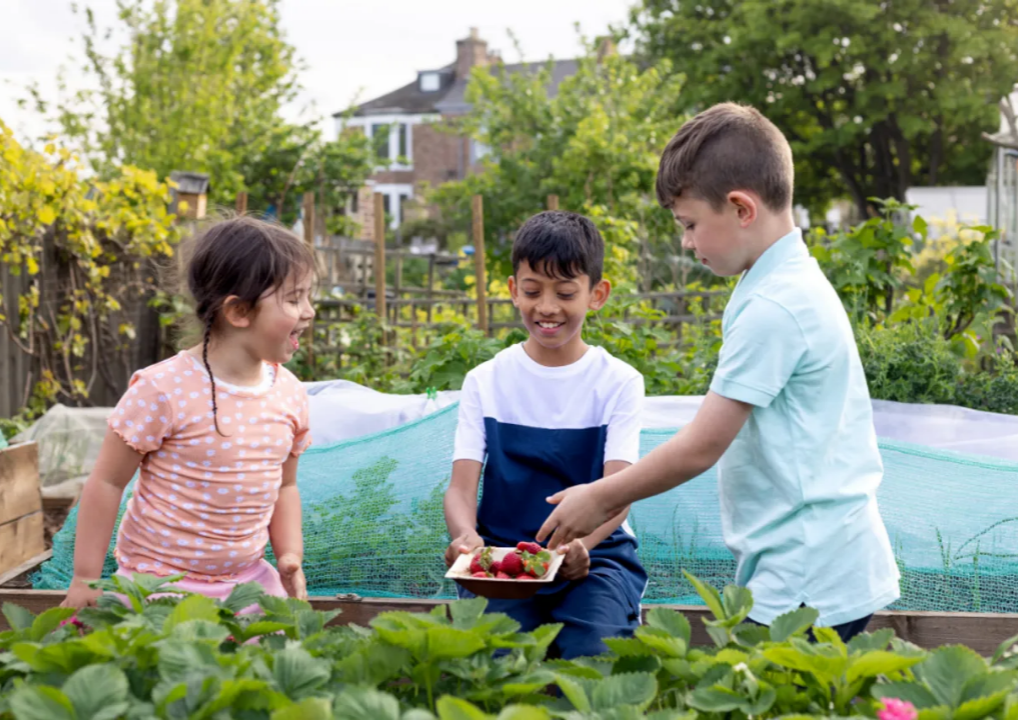 Photo of children playing in the garden.

