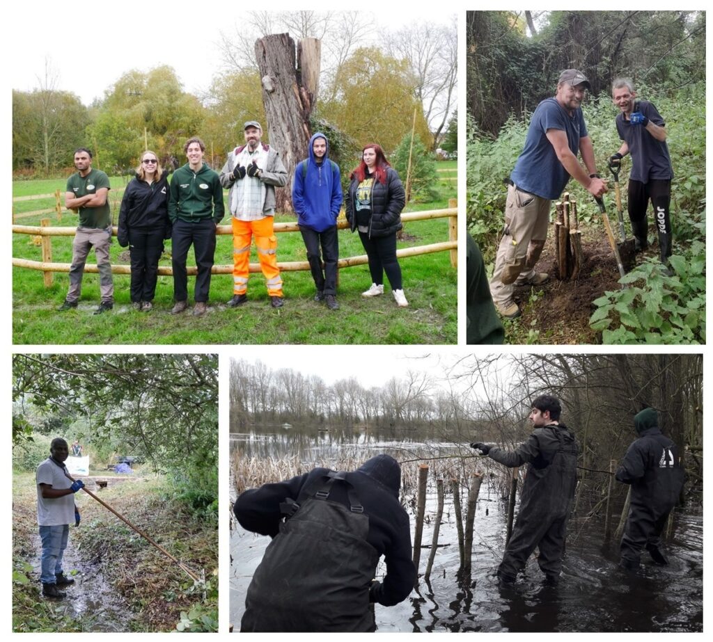Collage of project photos showing participants at work