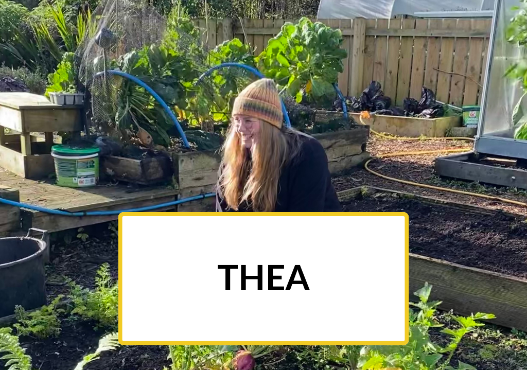 New to Nature Trainee Thea is tending to a raised bed in a community garden