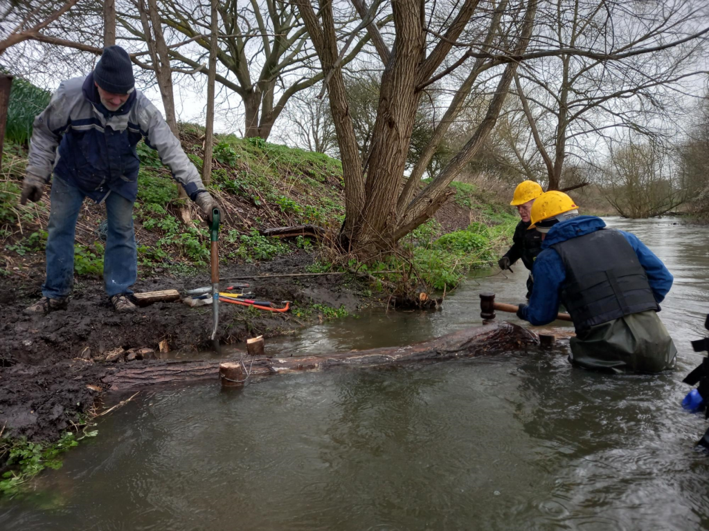 Volunteers clearing River Colne