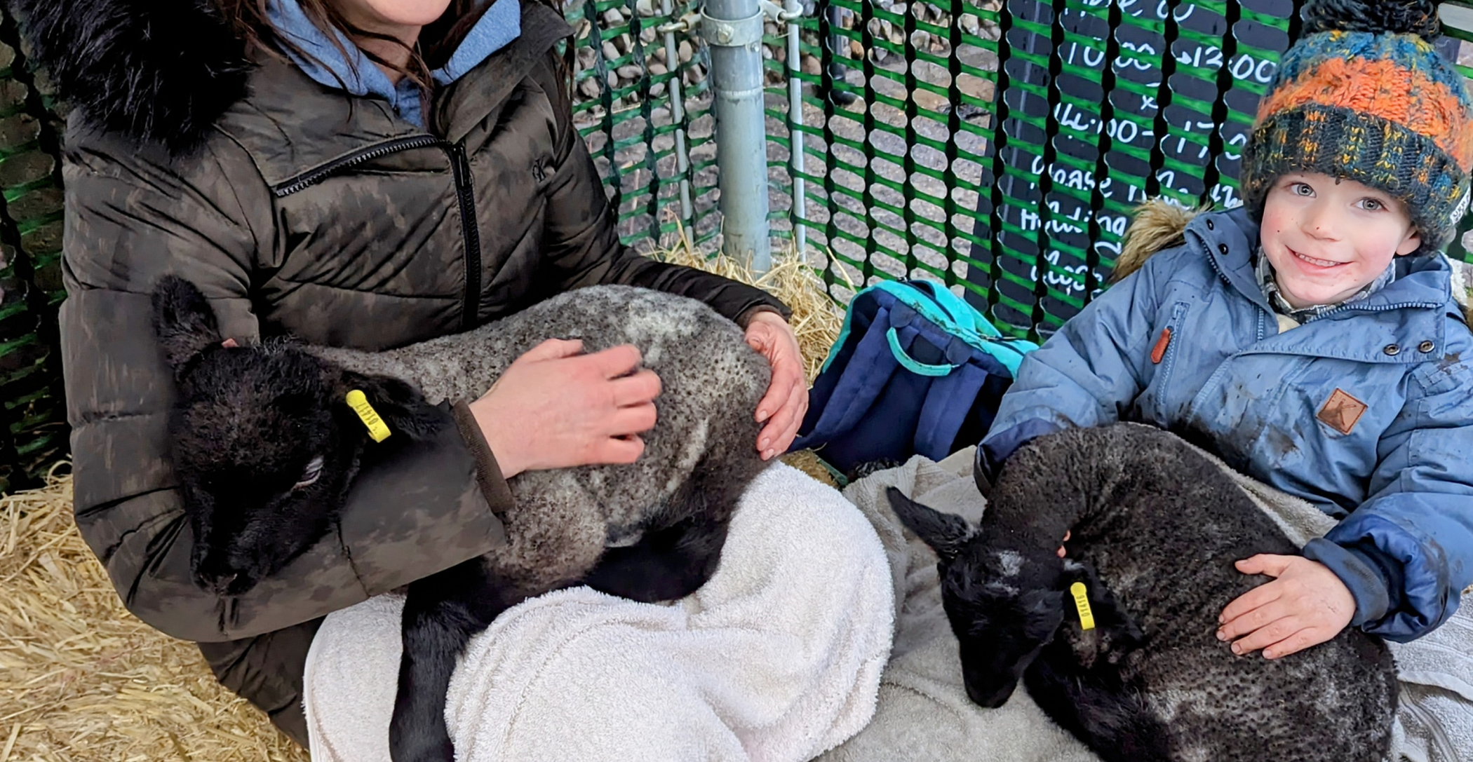 Cuddling lambs in spring time!