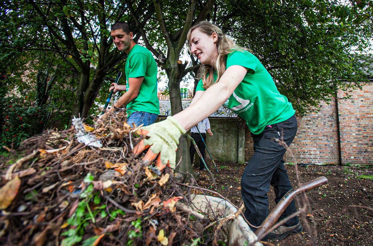 Groundwork Team Garden clearence