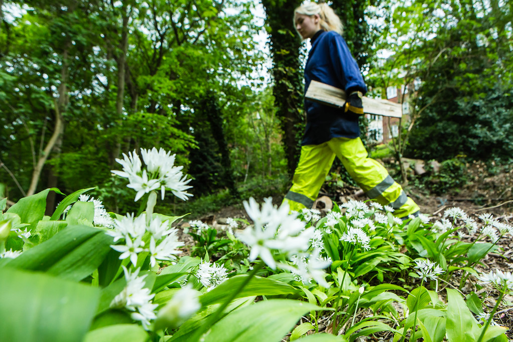 NEWS: Groundwork announces new partnership with Morgan Sindall to help improve biodiversity across the UK