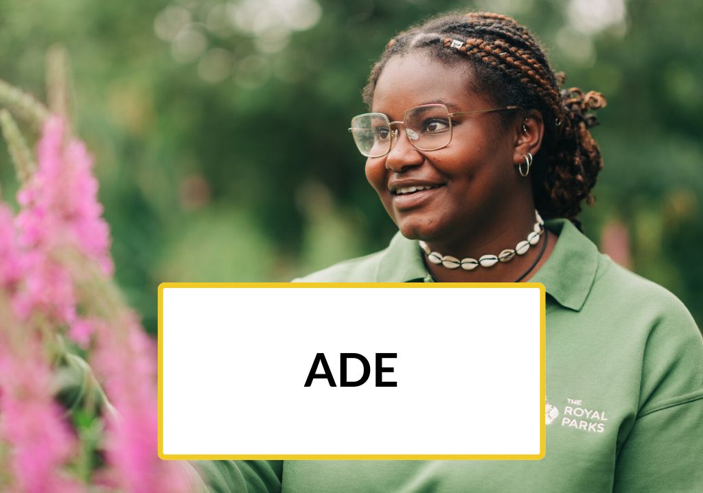 Trainee Ade stands outdoors by pink flowers.