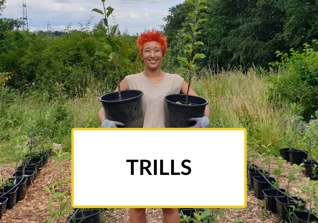 Trills, a New to Nature trainee, holding two plants