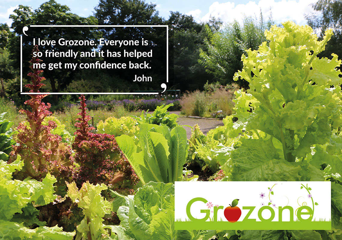 Vegetables growing at Grozone