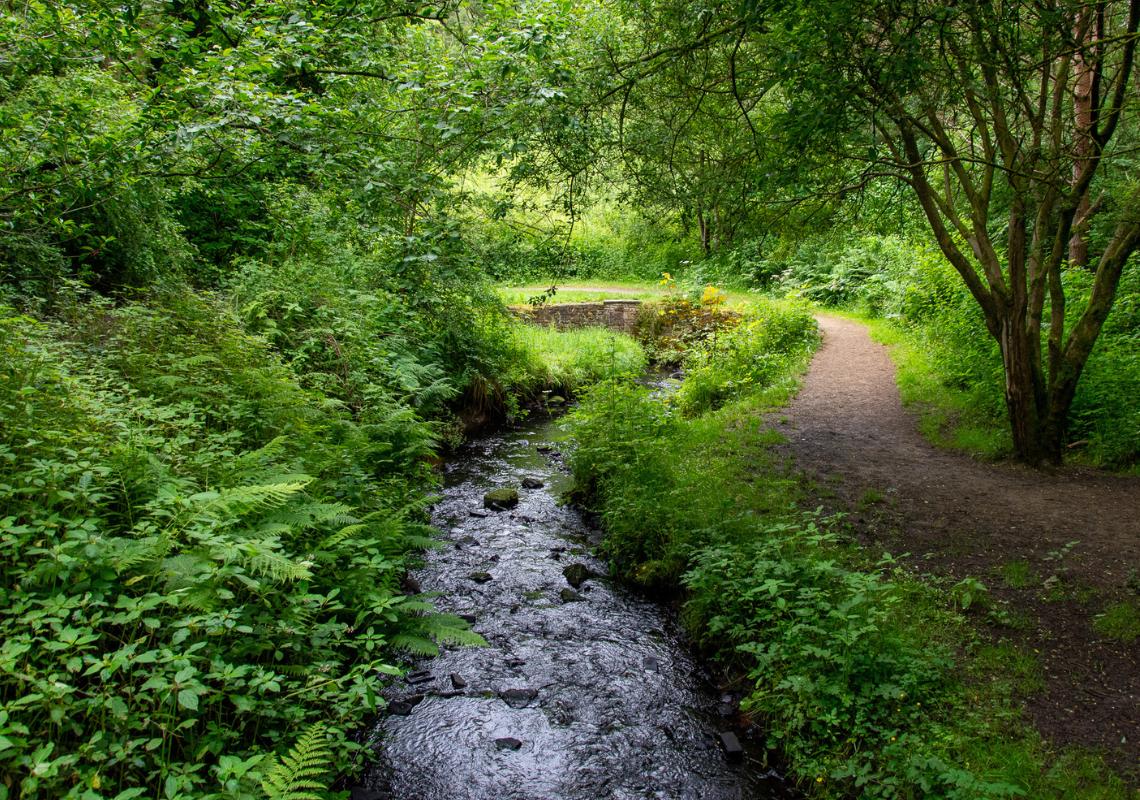 Medlock Valley