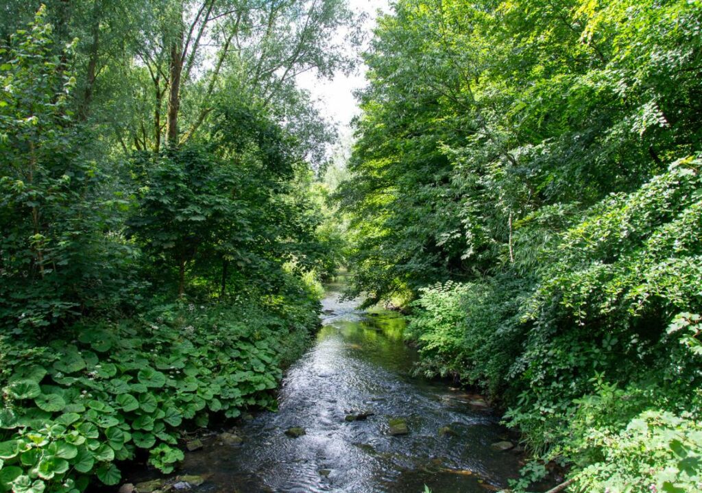 Clayton Vale in the Medlock Valley.
