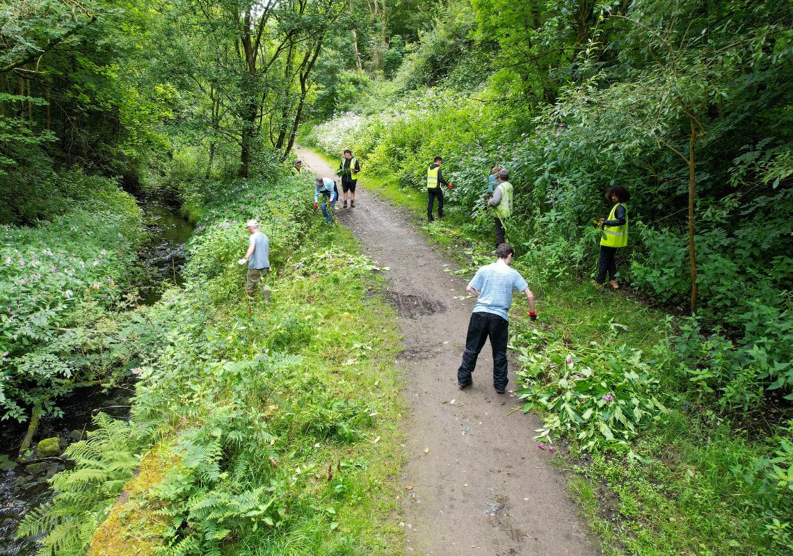 Balsam bashing in the Medlock Valley