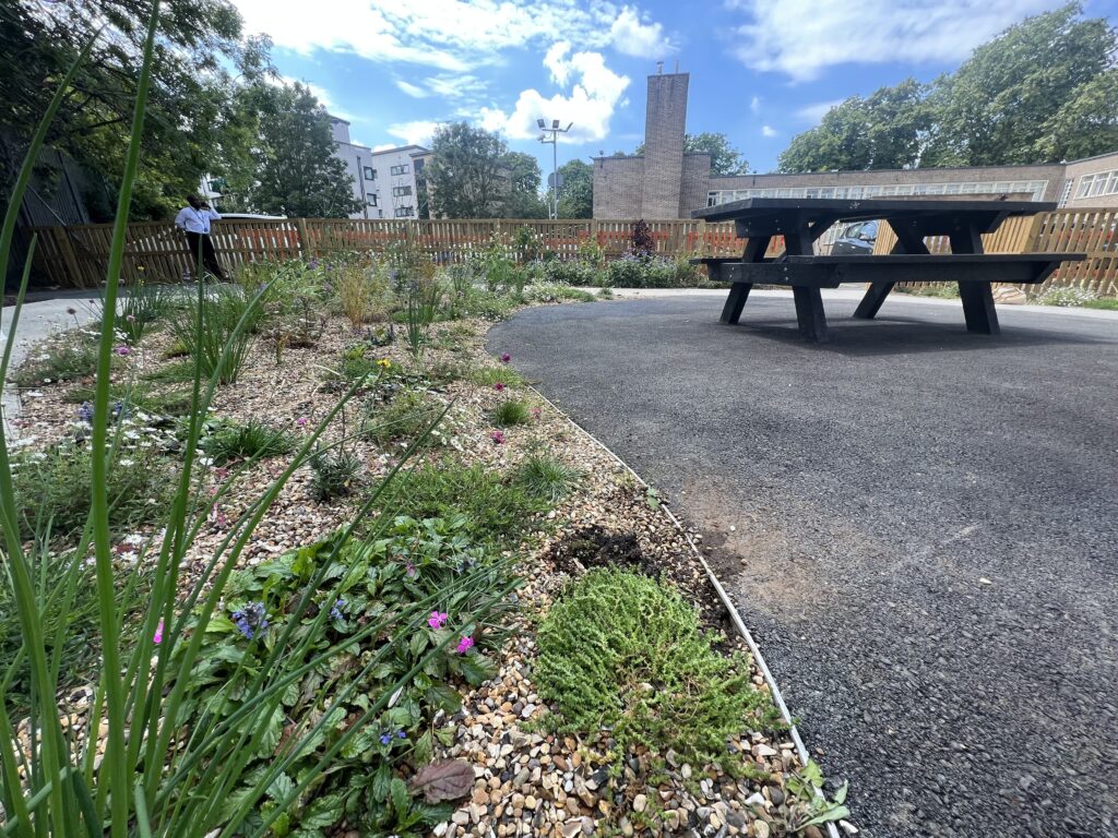 Designed garden at John Scott Health Centre encouraging community