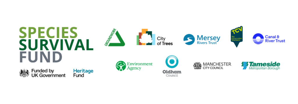 Project logos