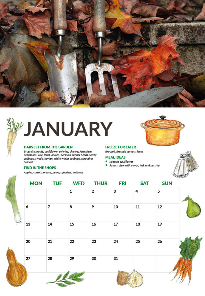 January page preview