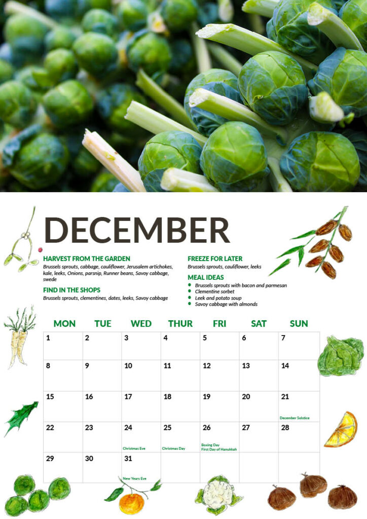 Dec page preview